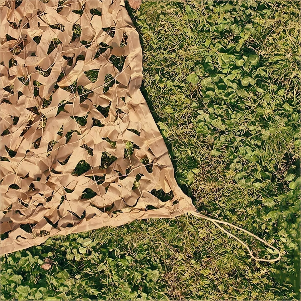 Genérico Red de Camuflaje Militar Reforzada 1.5m 2.5m 3.5m 4m 5m 6m 7m 8m 9m 10m Protección Solar Y Vela de Sombreado Anti-UV Terraza Pérgola Jardín Caza Airsoft Cortina Deco Resistente(3.5x5 M)