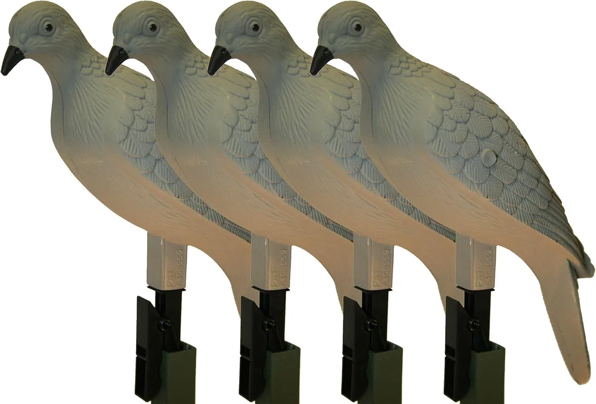 MOJO Outdoors Señuelos de paloma para caza de palomas