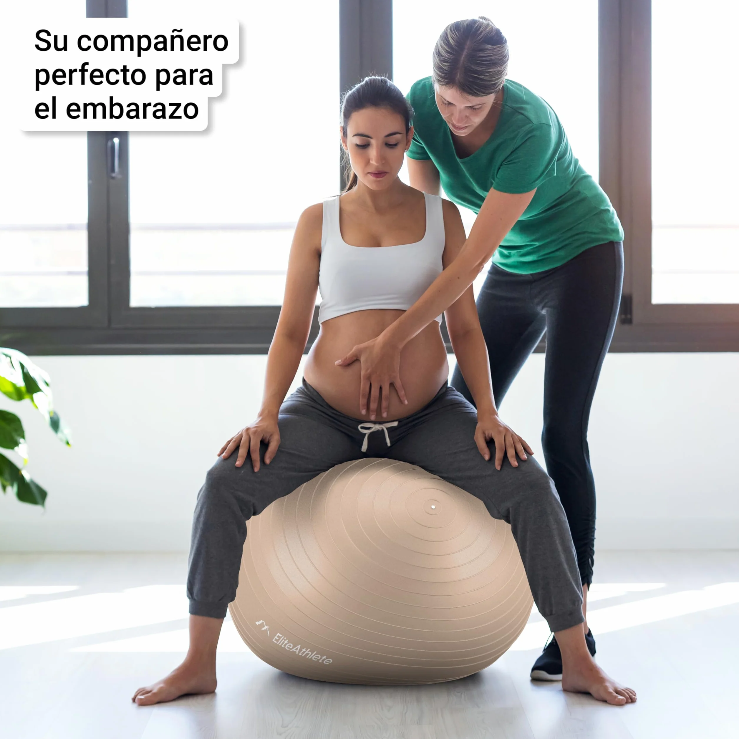 EliteAthlete Pelota de Pilates Fitball 55 cm 65 cm 75 cm 85 cm con Bomba de Aire