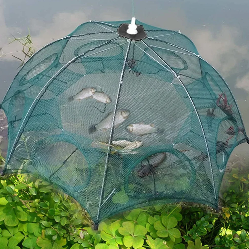 plplaaoo Red de Trampa de Pesca Port¨¢Til,Red de Pesca, 8 Agujeros Trampas Peces de Malla de Pesca Red de Pesca Plegable de Nailon para atrapar anguilas cangrejos, Langostas, camarones y cangrejos