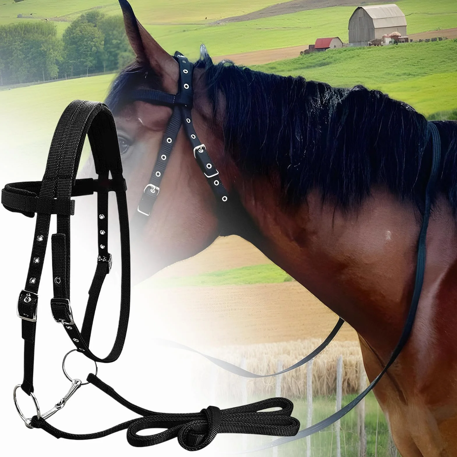 Generisch Soporte para caballos y cuerda de plomo – 3 hebillas ajustables espesan soporte plano para el entrenamiento, entrenamiento de equitación y soportes líderes