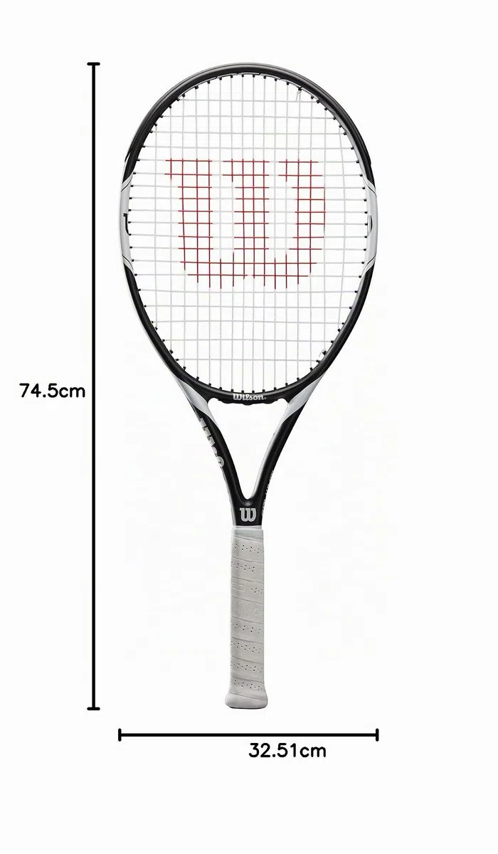 Wilson Raqueta de Tenis Federer Team 105