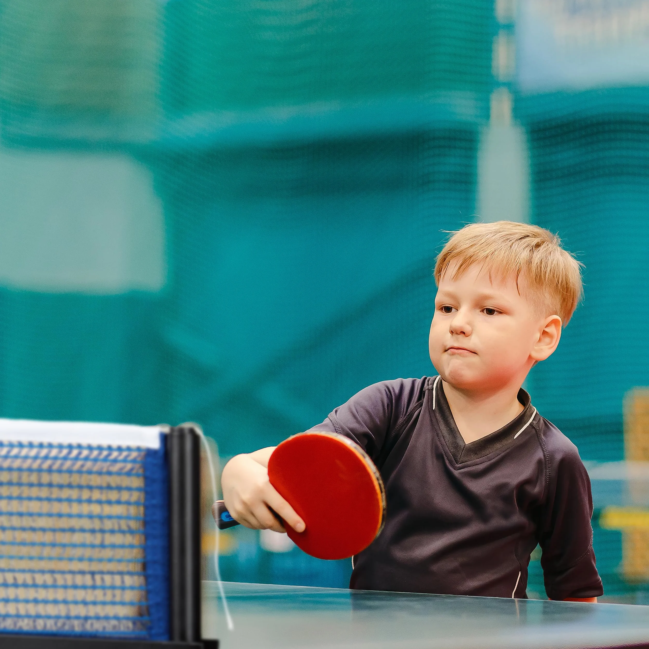 Relaxdays Ping Pong Tenis de Mesa Profesional 19.2 x 23.5 cm 2 Postes Red Azul