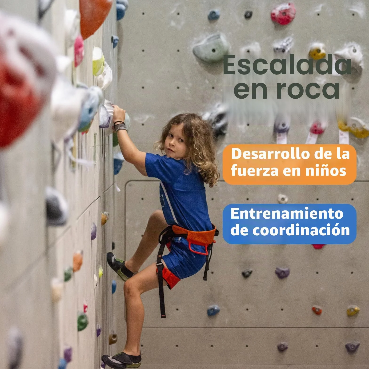 CIMOYBAI 15 Piezas de Soportes de Escalada, Piedras de Escalada para Niños al Aire Libre, Soportes de Pared de Escalada Niños con Tornillos de Fijación para Torre