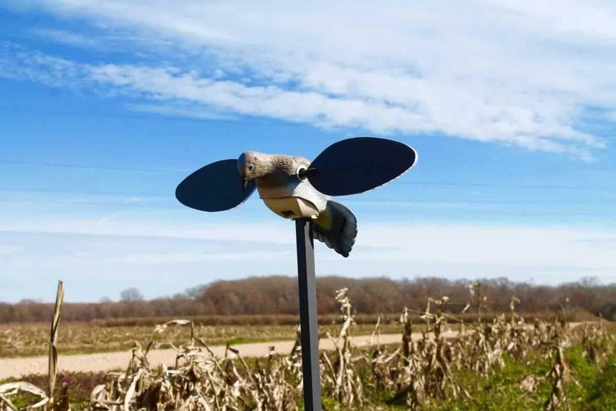 Mojo Outdoor Dove Decoys for Dove Hunting