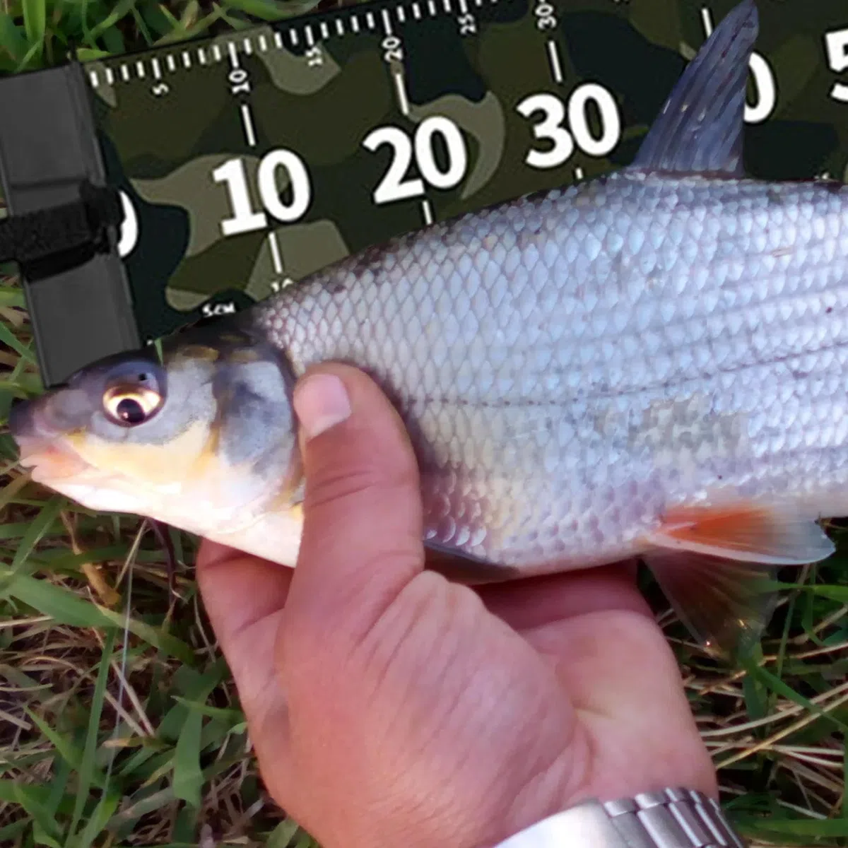 Fish Mat, Fillet Board, Waterproof Cutting with Measurement Scale Design, Multifunctional Cleaning Pad for Outdoor Fishing Enthusiast Boat Kitchen Camp Gear, 47.24 Inches