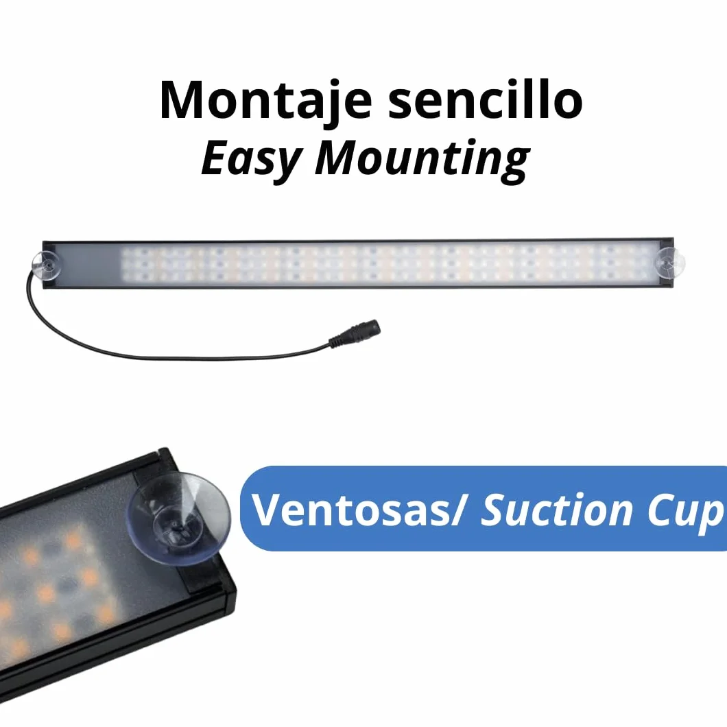 Bandera LED DE Blanco + ESPAÑA -12-24V