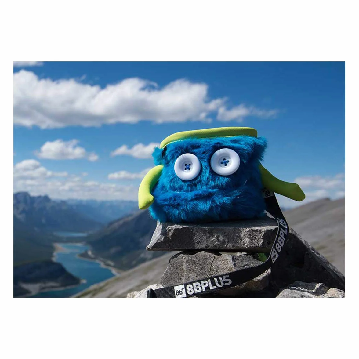 8b+