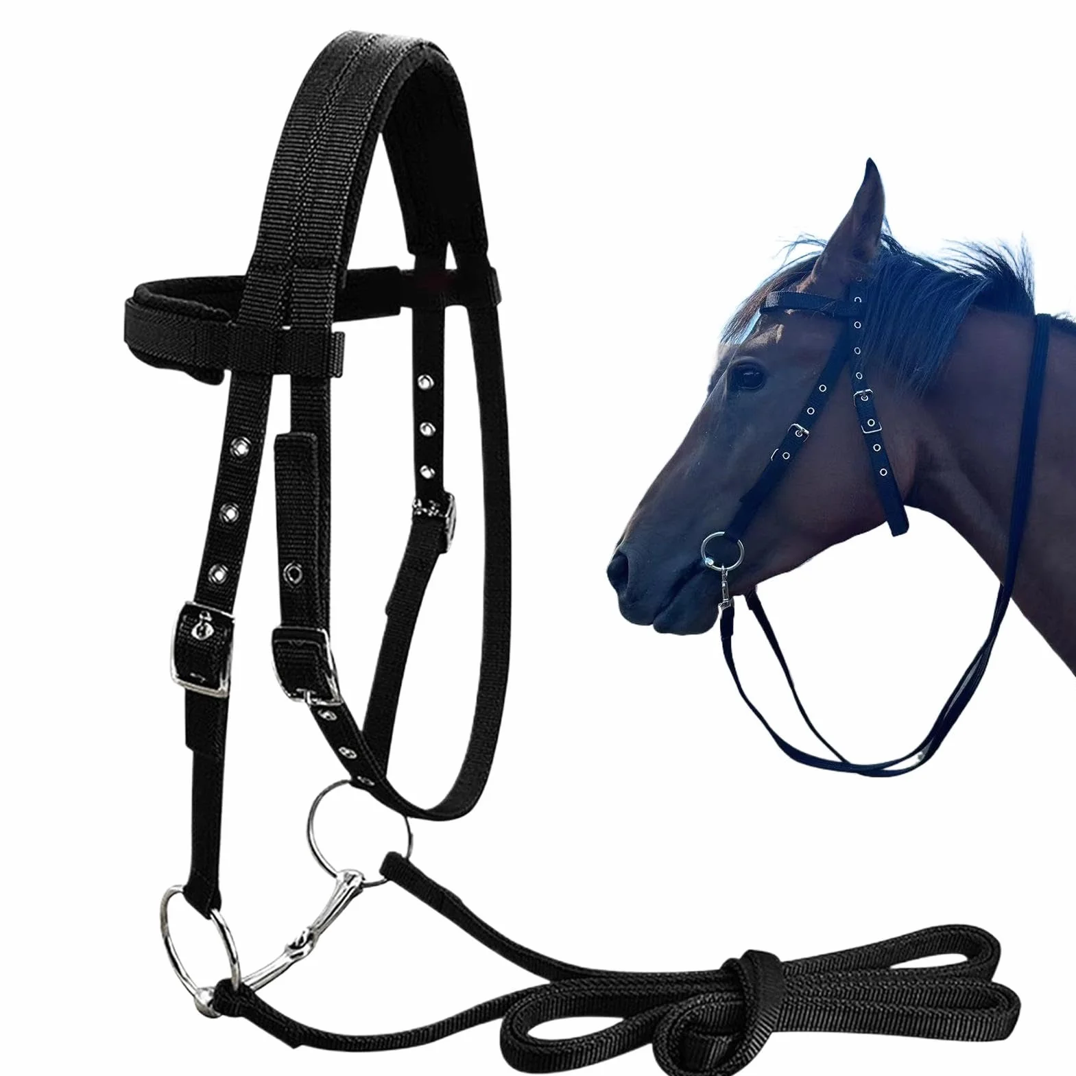 Generisch Soporte para caballos y cuerda de plomo – 3 hebillas ajustables espesan soporte plano para el entrenamiento, entrenamiento de equitación y soportes líderes