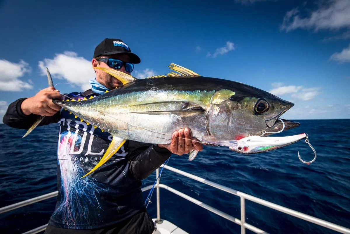 Nomad Design DTX Minnow - Señuelo Flotante