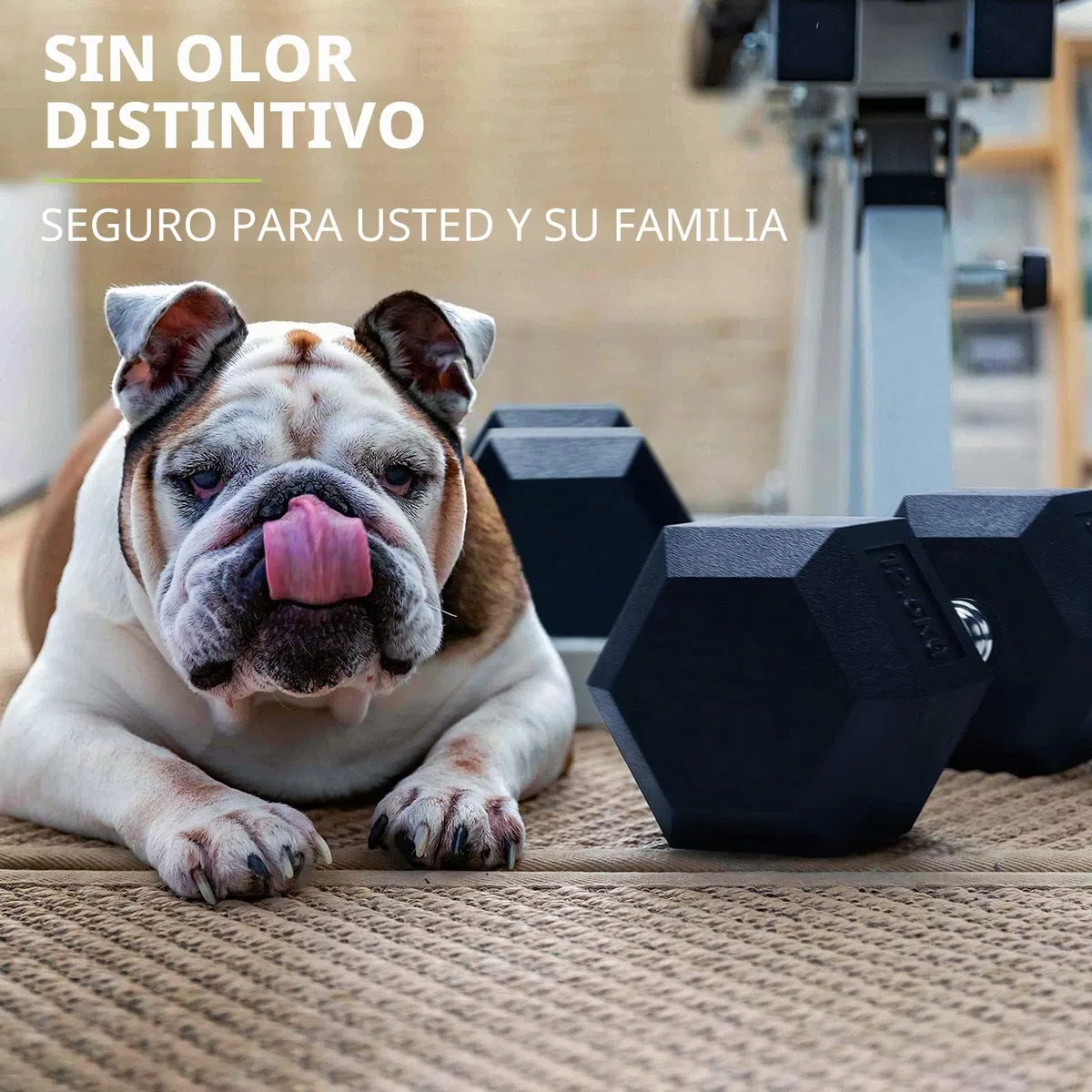 PhysKcal Mancuernas hexagonales de Goma de Polietileno inodoras, 2,5 kg ~ 30 kg, par o un Solo Gimnasio en casa
