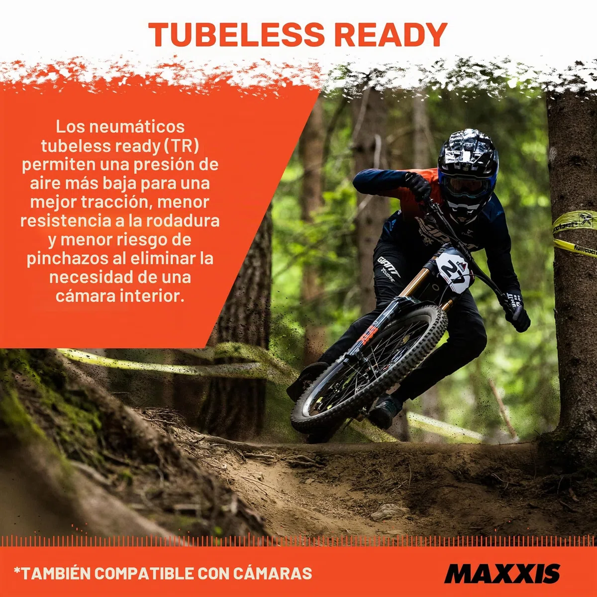 Maxxis - Cubierta Minion DHF