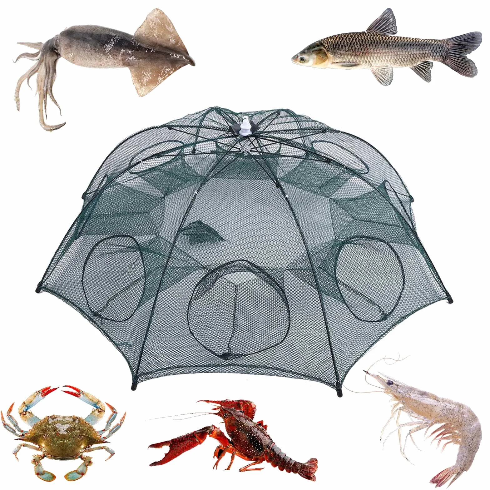 plplaaoo Red de Trampa de Pesca Port¨¢Til,Red de Pesca, 8 Agujeros Trampas Peces de Malla de Pesca Red de Pesca Plegable de Nailon para atrapar anguilas cangrejos, Langostas, camarones y cangrejos