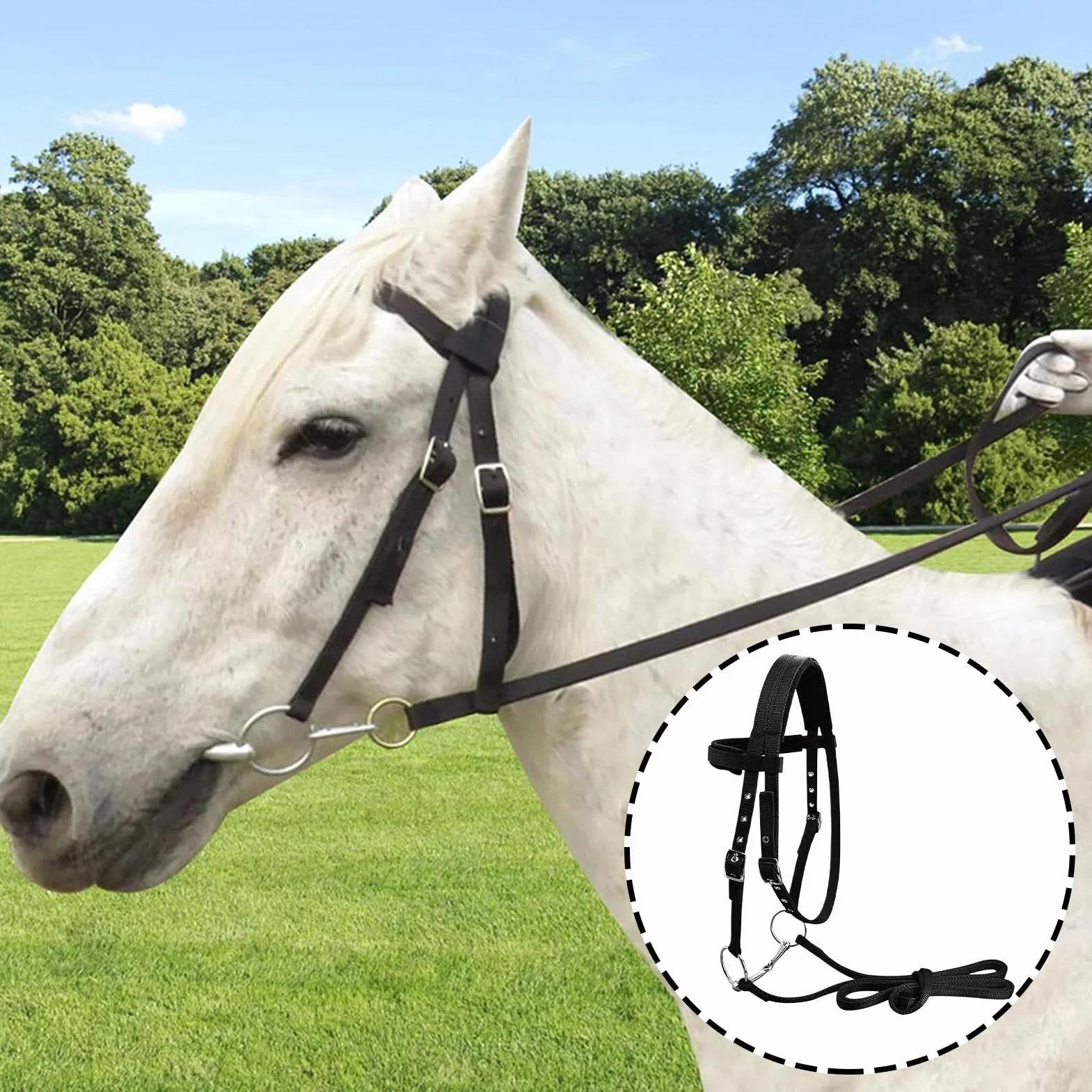 Generisch Soporte para caballos y cuerda de plomo – 3 hebillas ajustables espesan soporte plano para el entrenamiento, entrenamiento de equitación y soportes líderes
