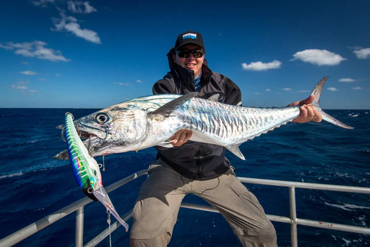 Nomad Design DTX Minnow - Señuelo Flotante