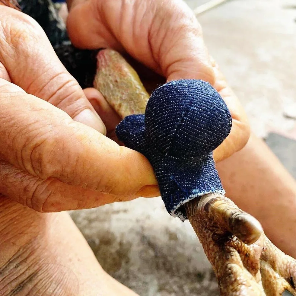 HUFFA Gallo Gallos Pollo Guante de Cuero Rojo 4 Pares Lucha Libre para Gallos