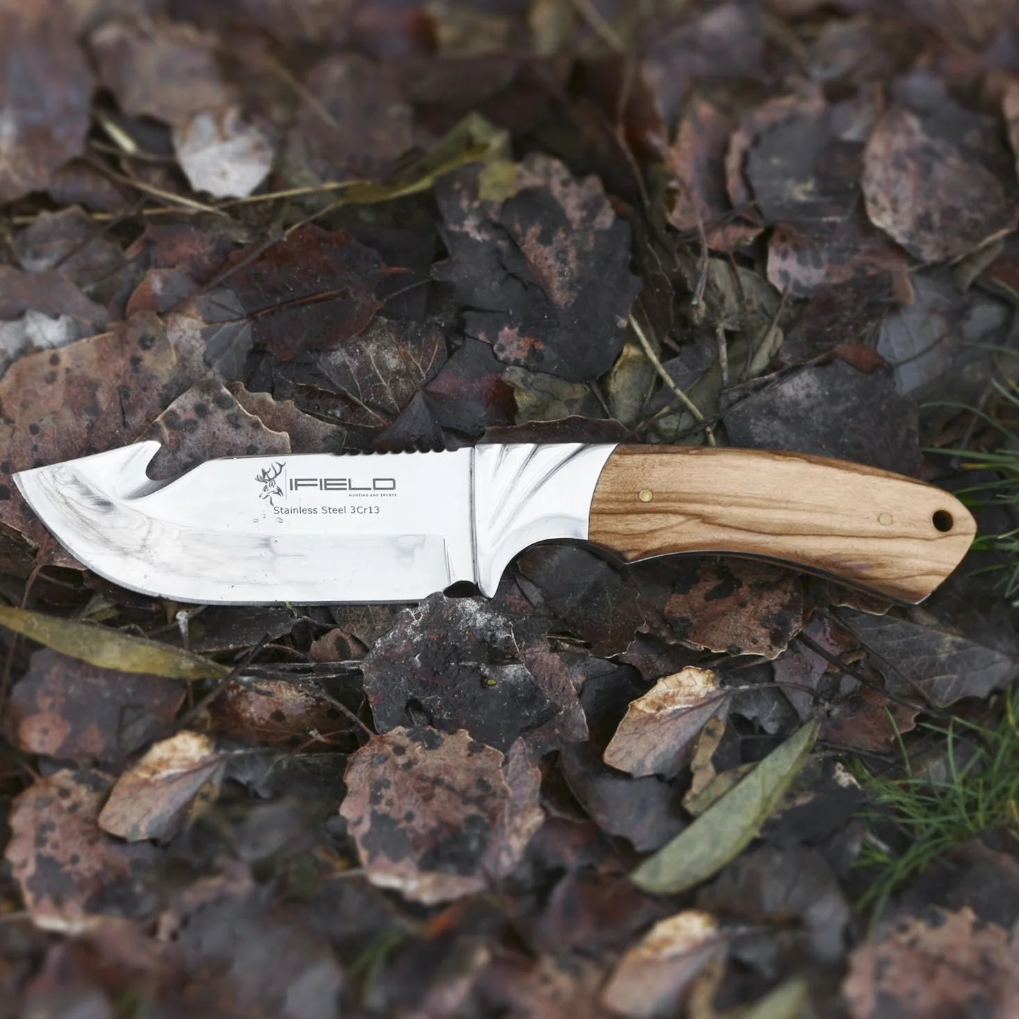 iFIELD Cuchillo desollador Camper EL29010, 22,5 cm, hoja 10,5 cm, 3,8 mm, mango de olivo, funda de piel marrón
