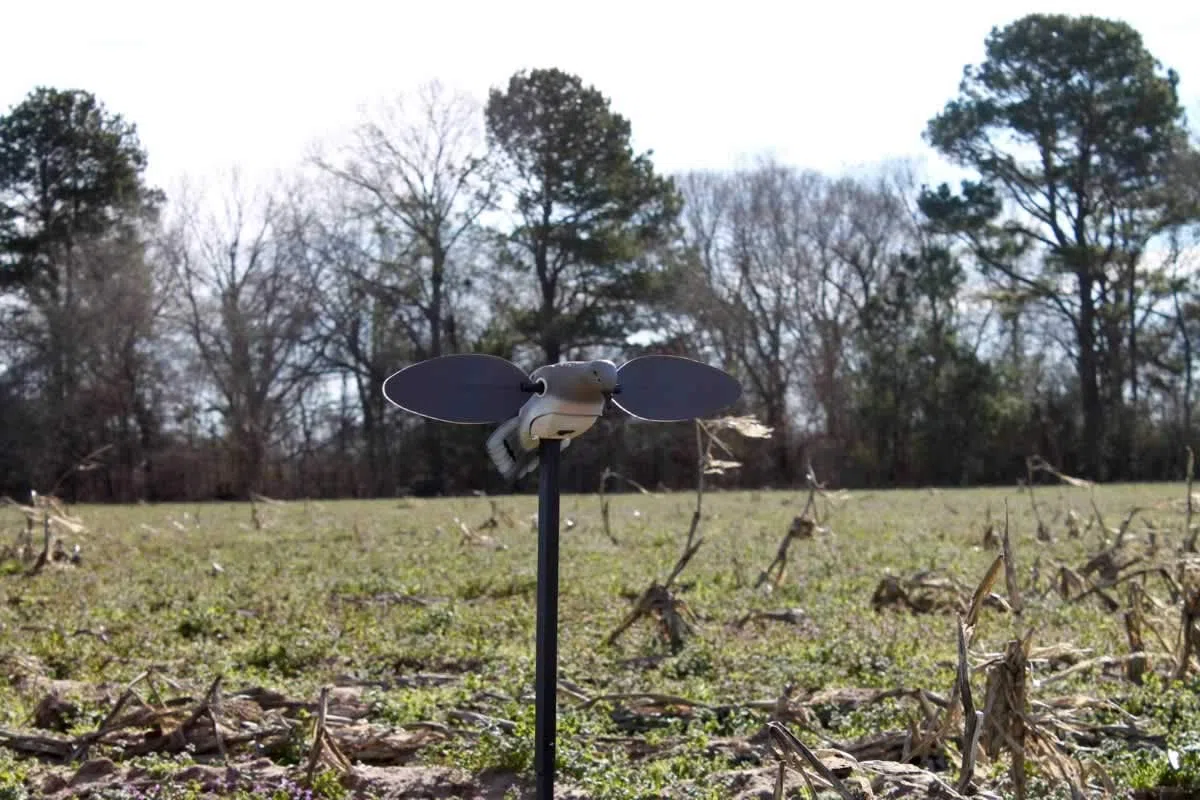 Mojo Outdoor Dove Decoys for Dove Hunting